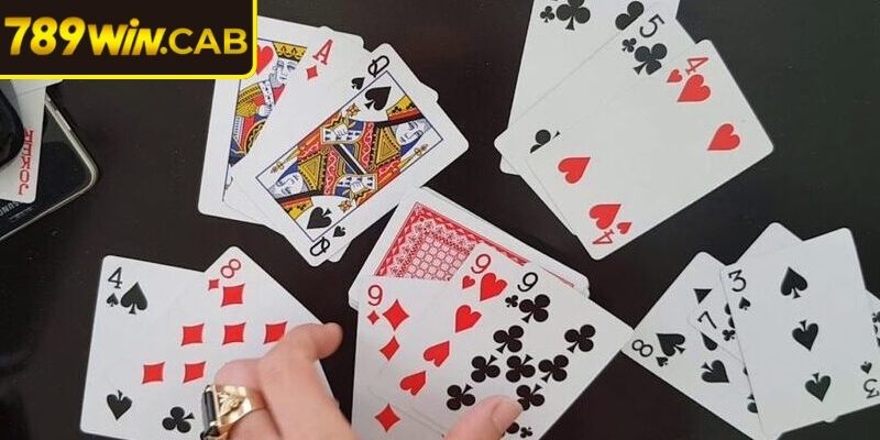 Thông tin chi tiết về bài cáo 789WIN 